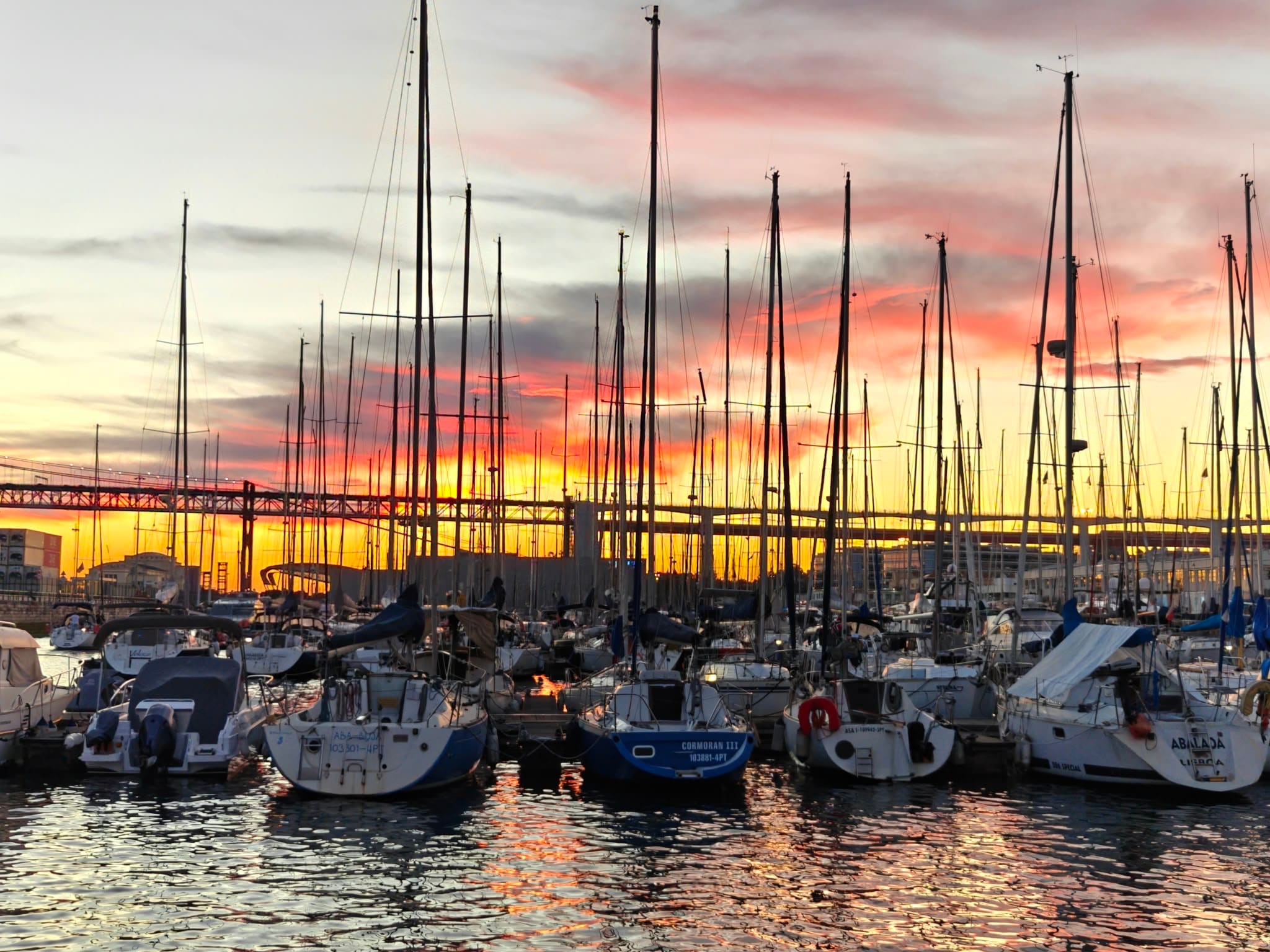 Sailboats moored in a Lisbon marina at sunset